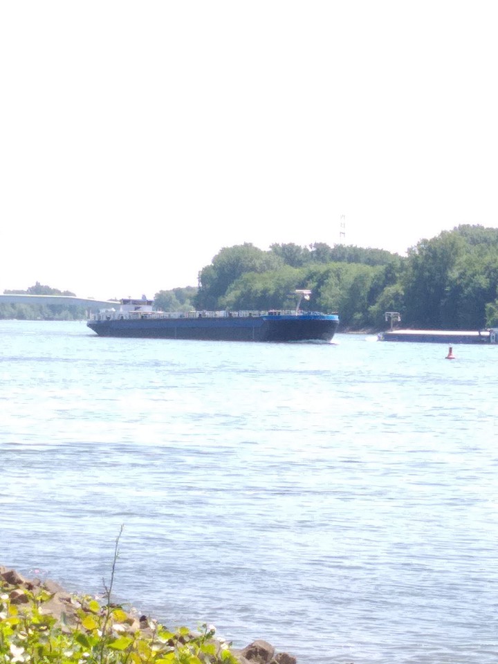 Verkehr auf dem Rhei