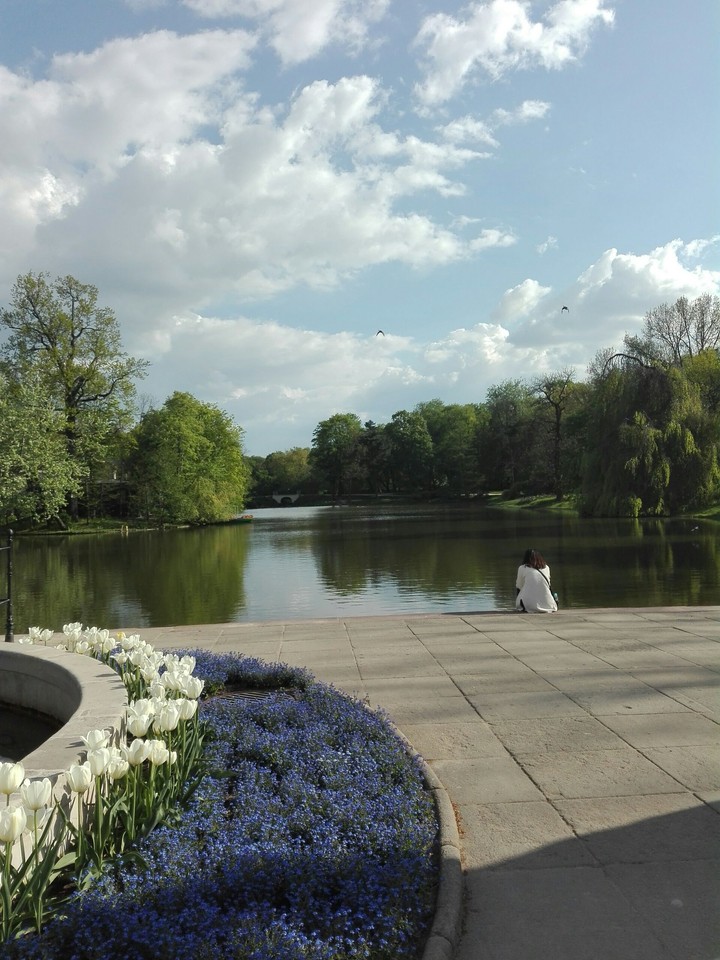 Beautiful Nature