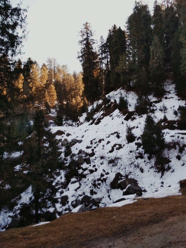 mountain
