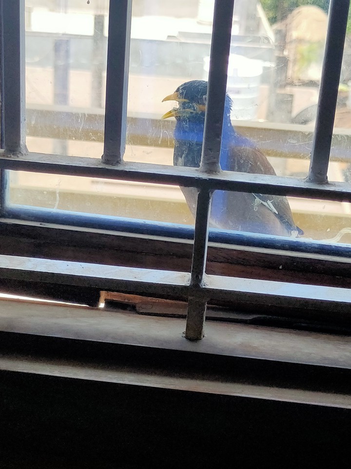 unexpected capture