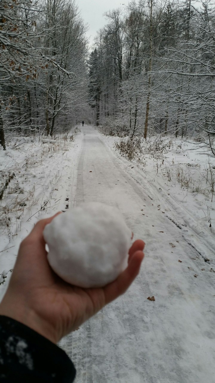 Зима
