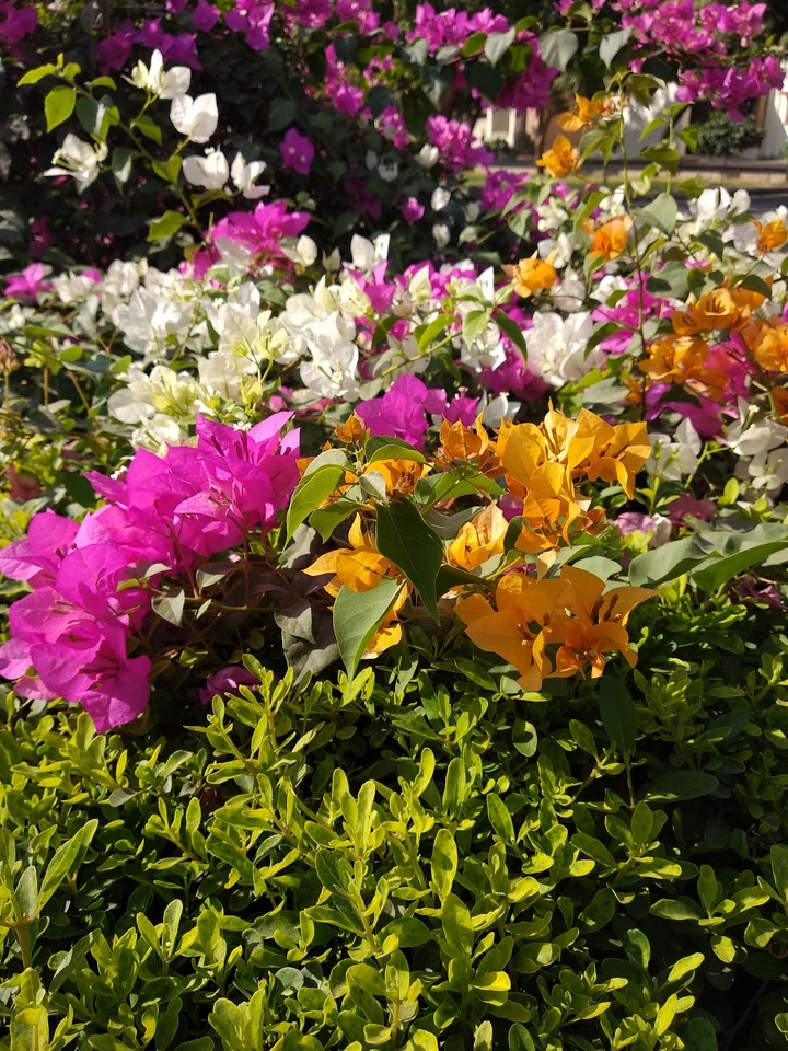 Morning dose of freshness!