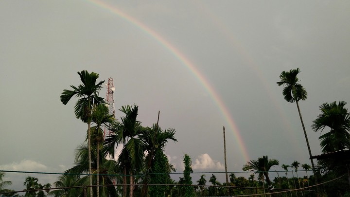 Pailapool