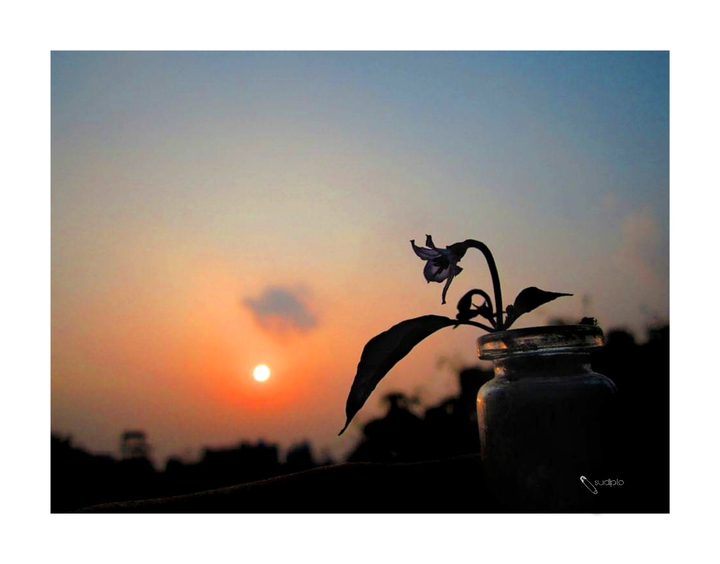afternoon Bangladesh