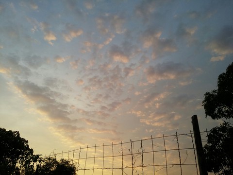 sfondi sky, morning