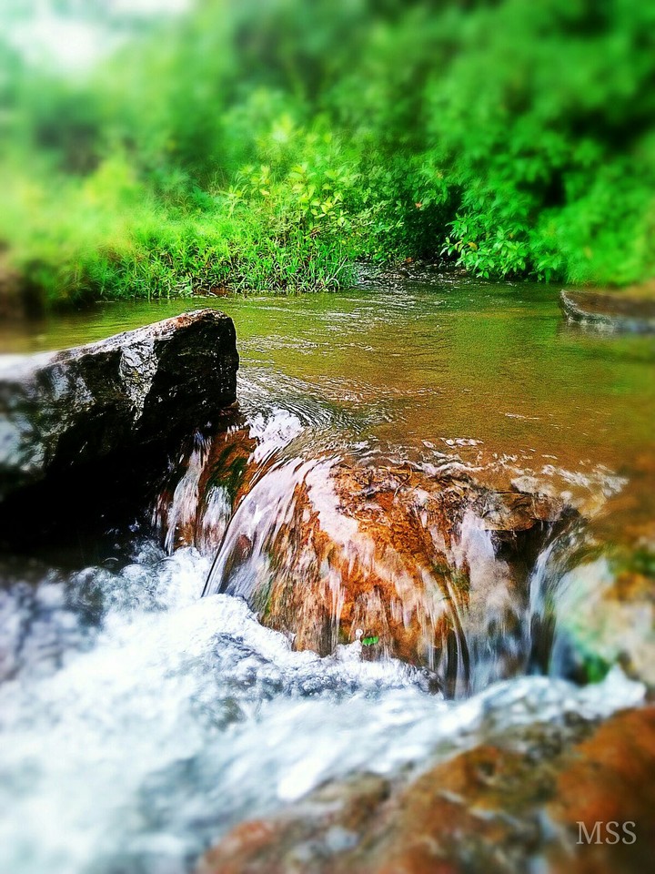 By The River
