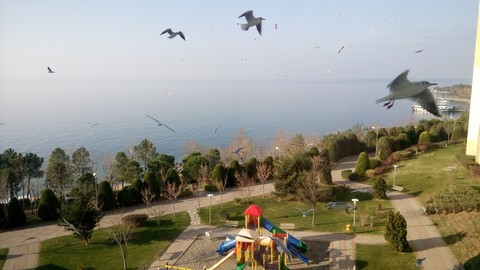 sea