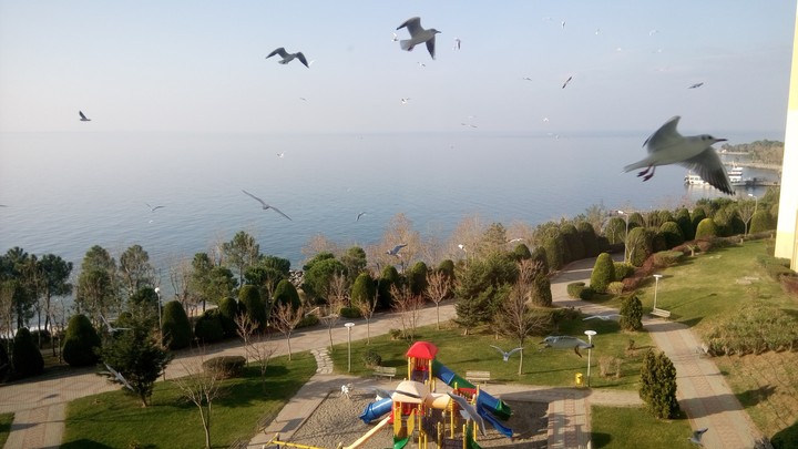 sea