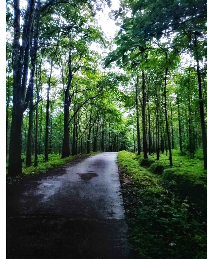 nature