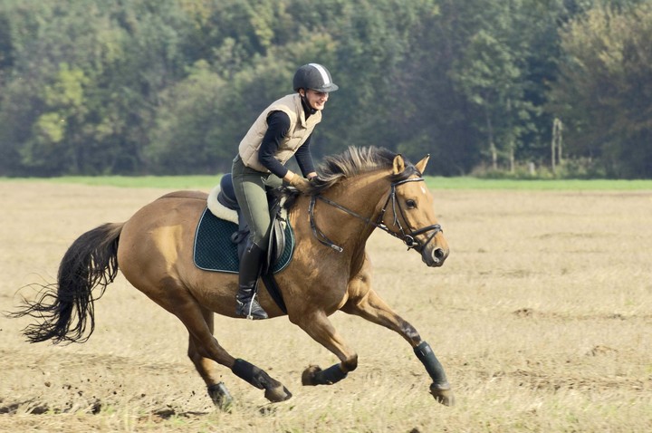 Horse Riding