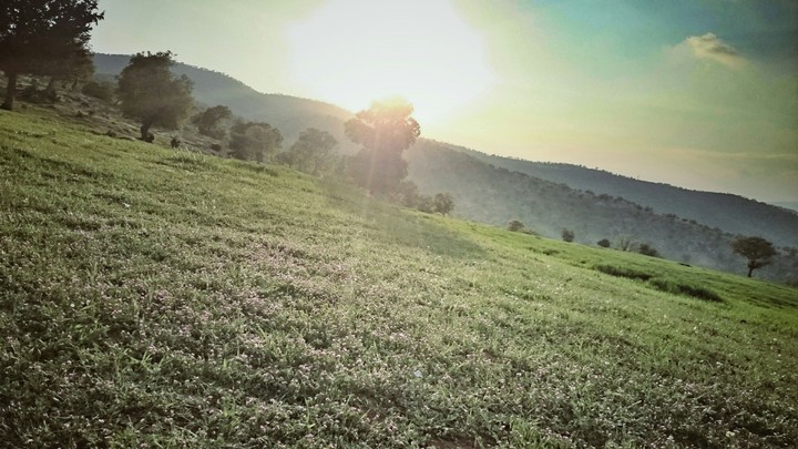 sun