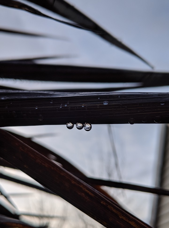 Droplets
