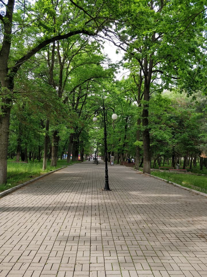 park