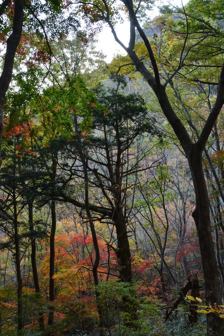 풍경이미지
