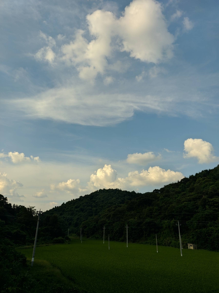 field.
