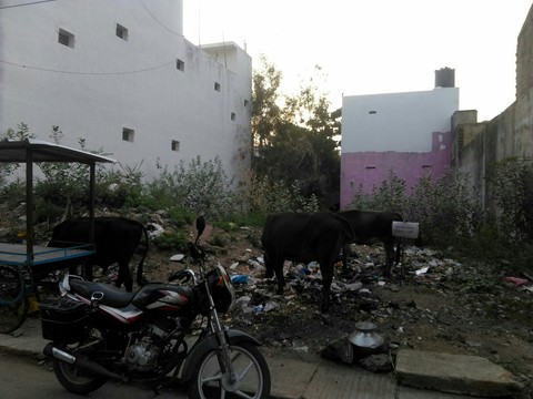 Tiruttani