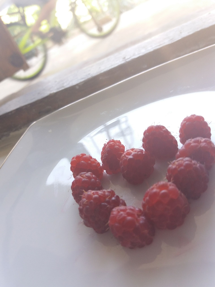 Raspberries