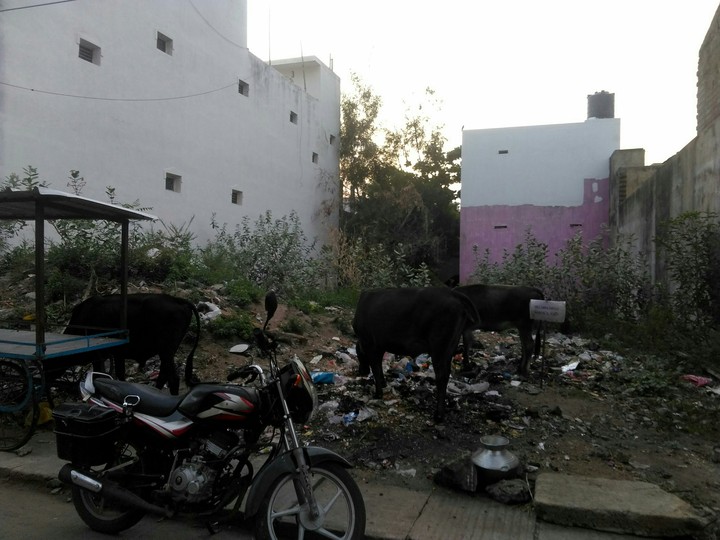 Tiruttani