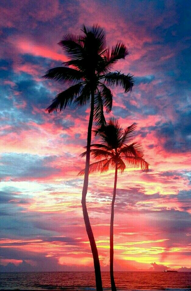 #Evening❤
