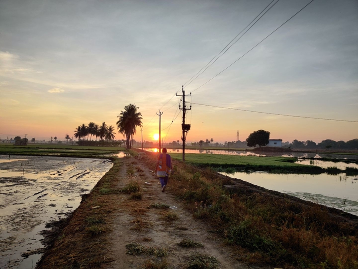 sunrise