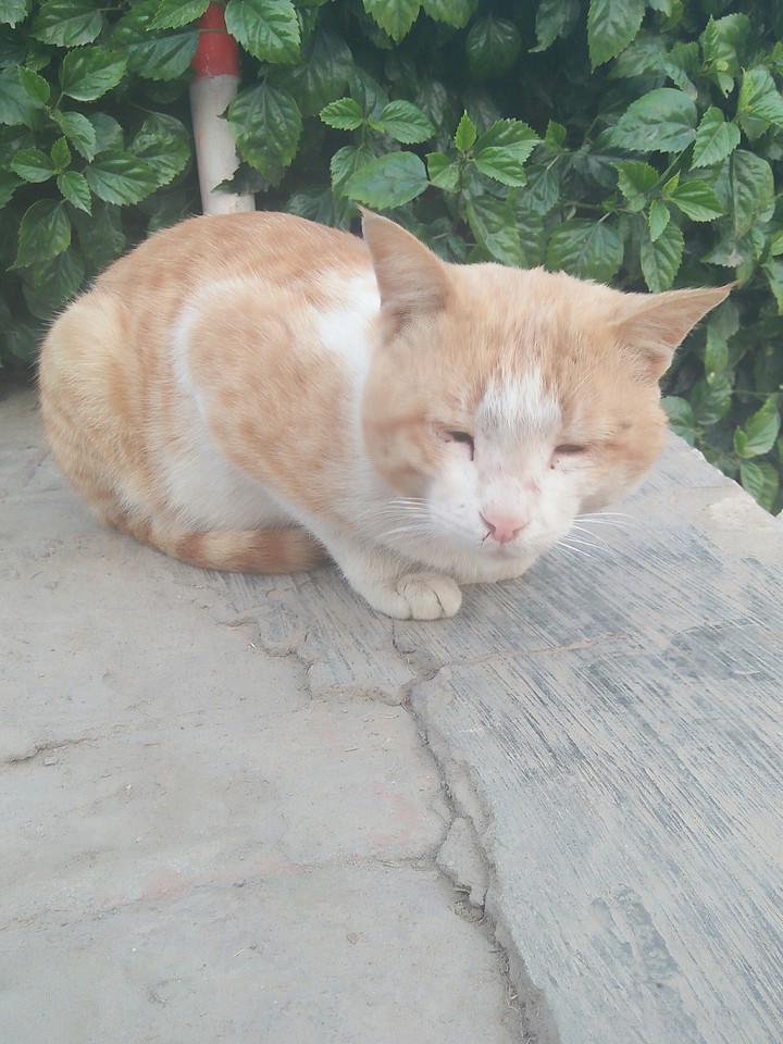sad for someone