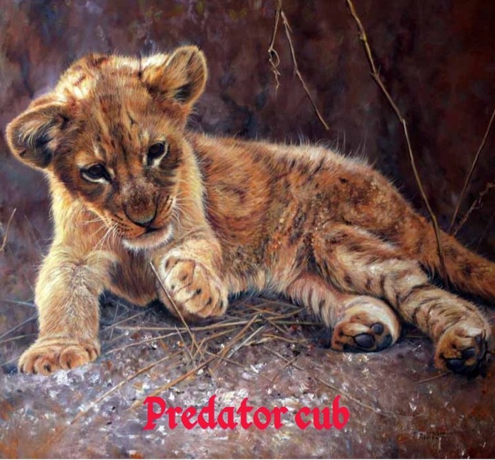 predator