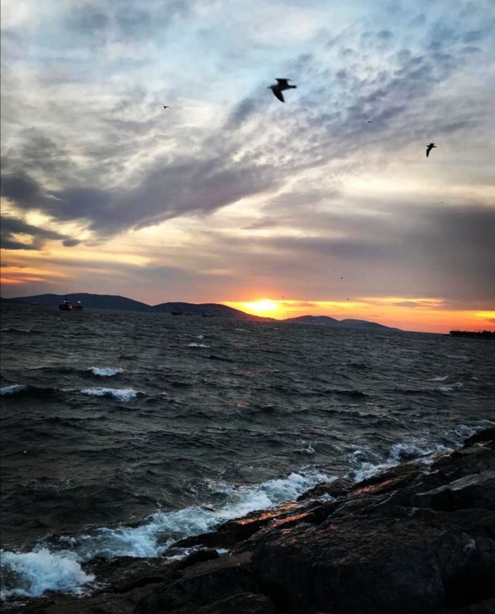 sunset