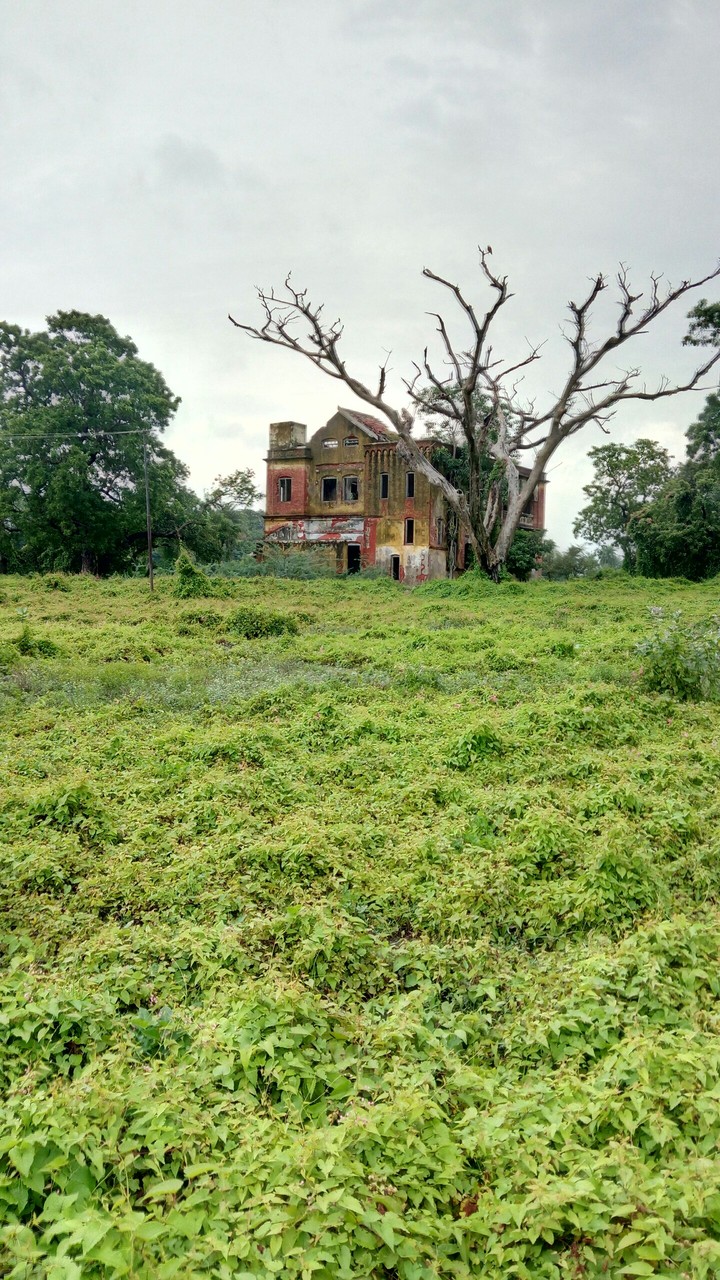 House beside Green (portrait)