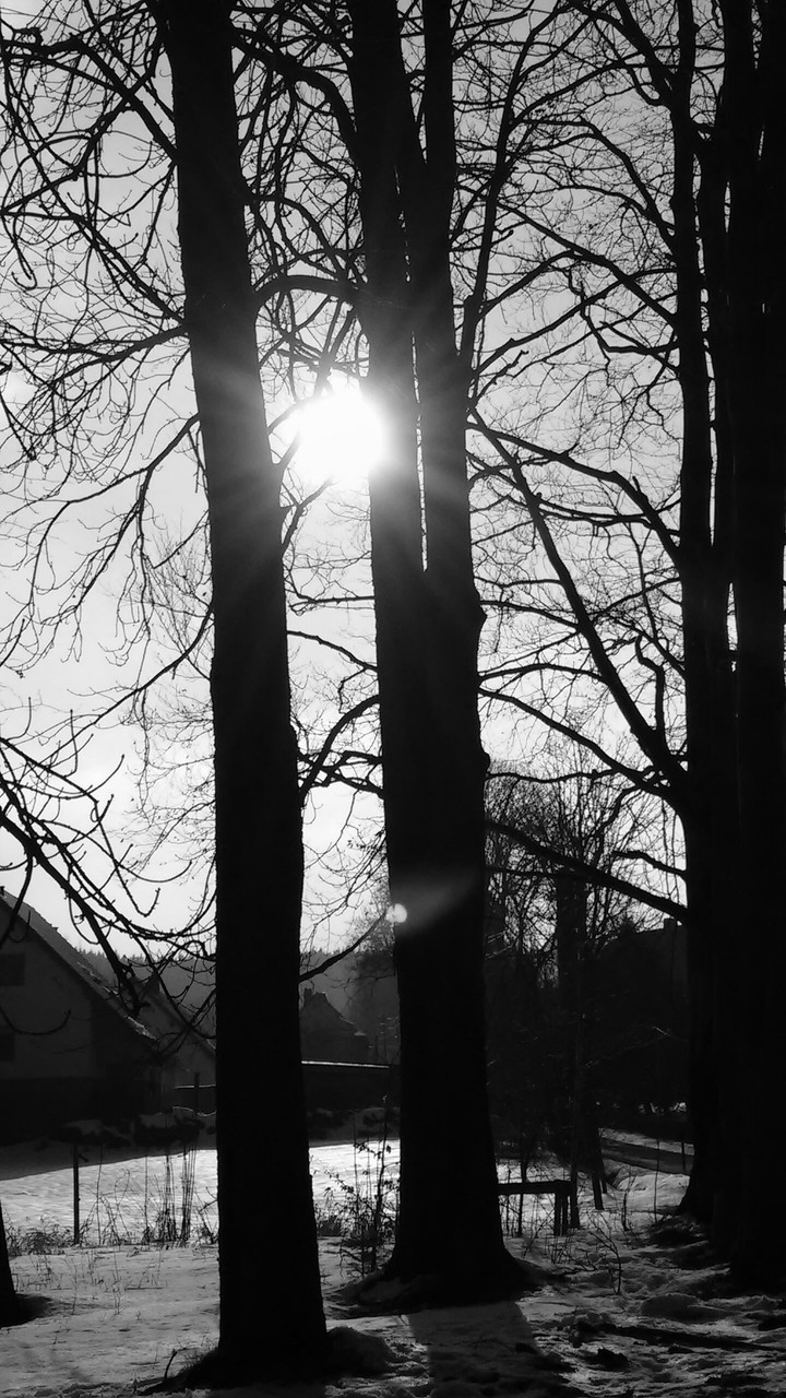 sun
