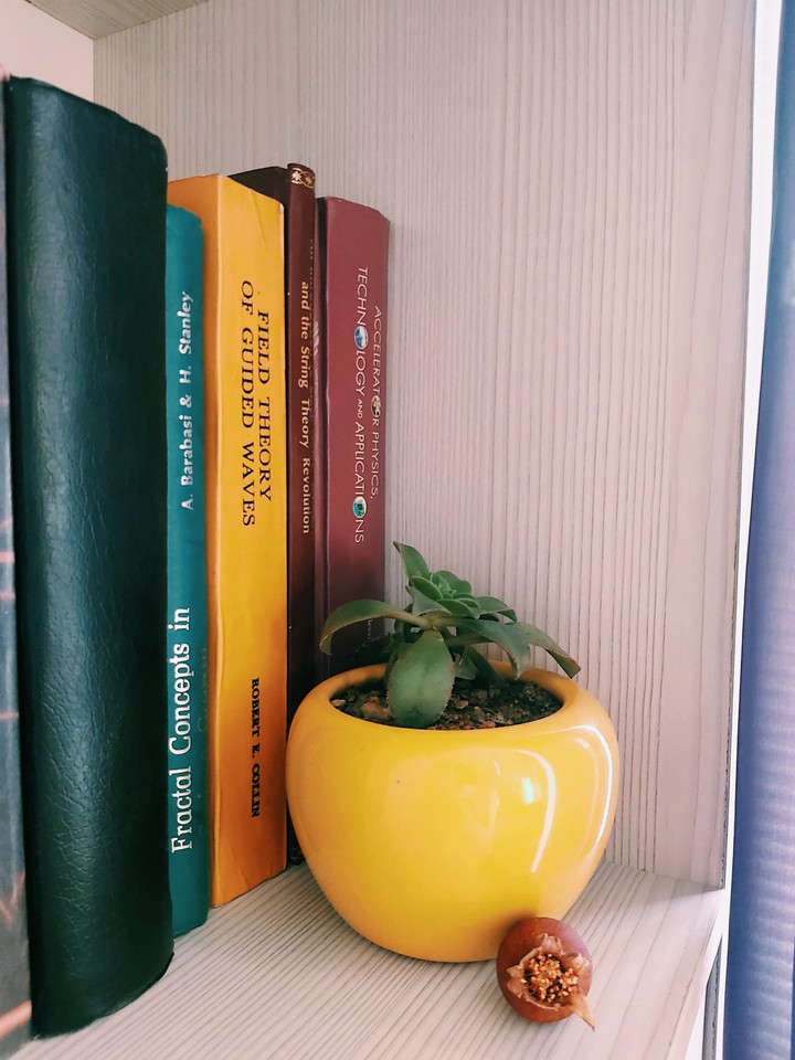 yellow vase
