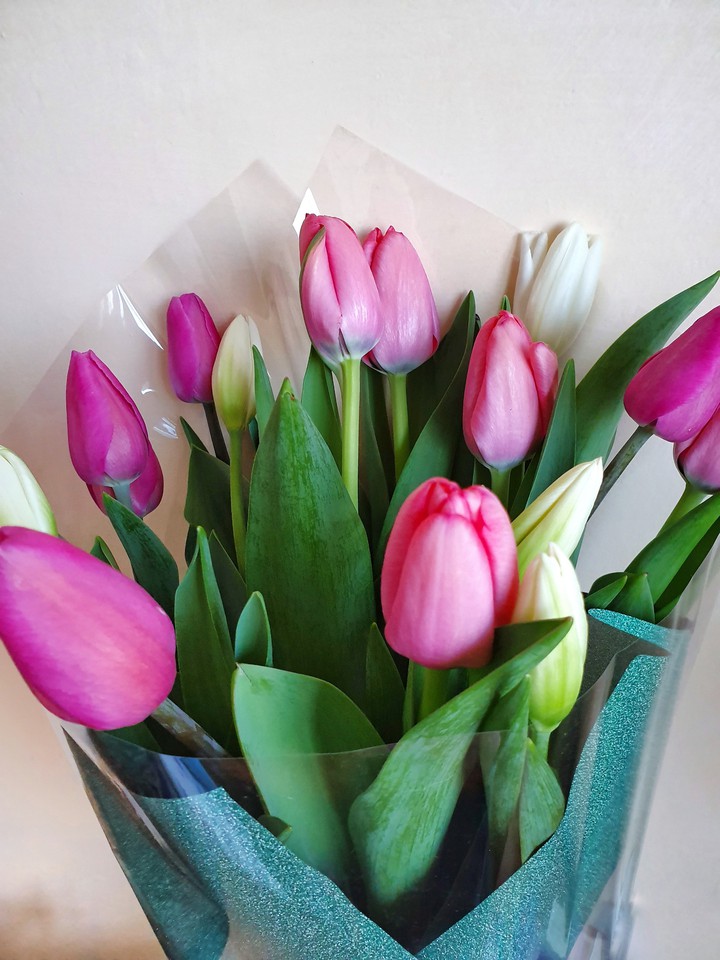 flowers