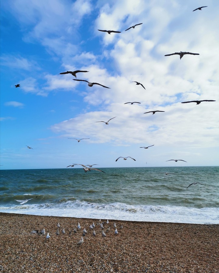 Shore