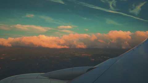 in the plane