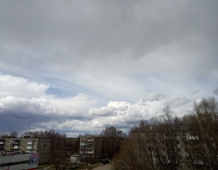 sunline