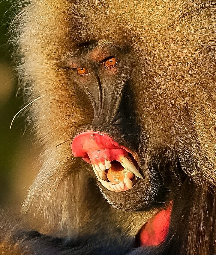 Yikes kinda Mad ?