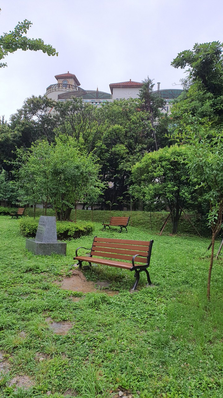 늘푸른(evergreen)