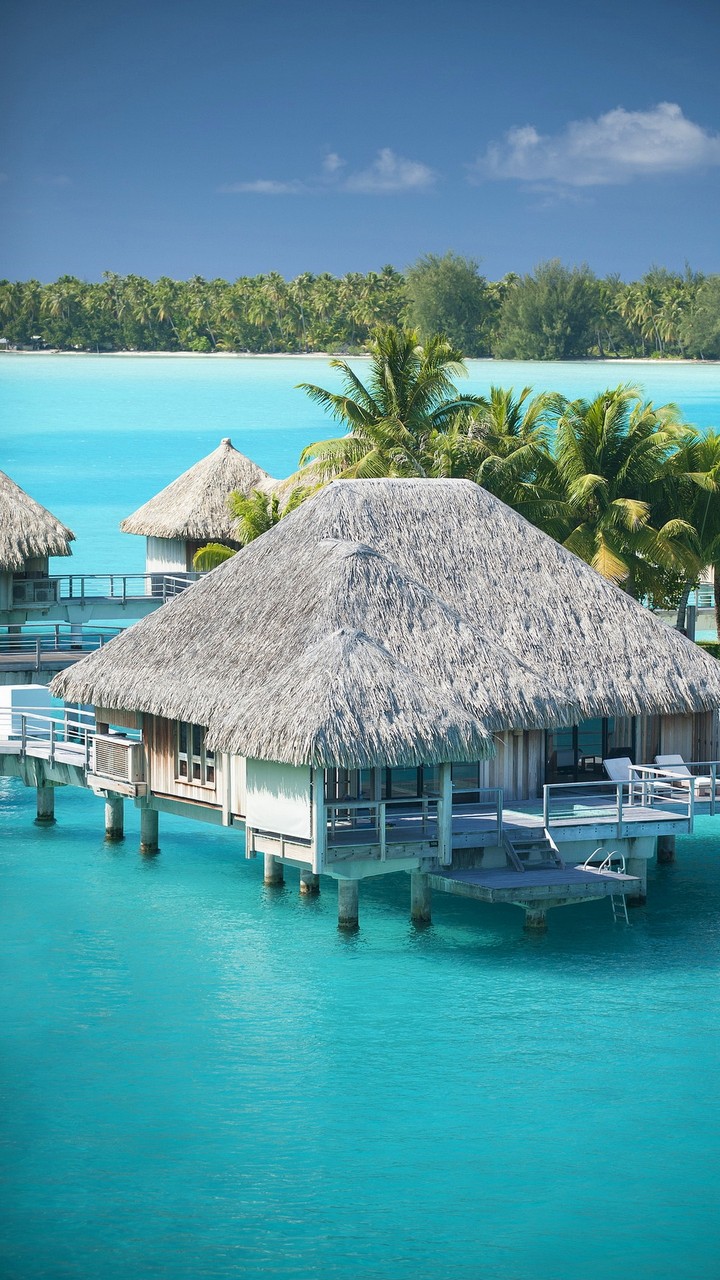 paradise