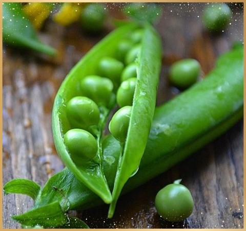 food, produce háttérképek