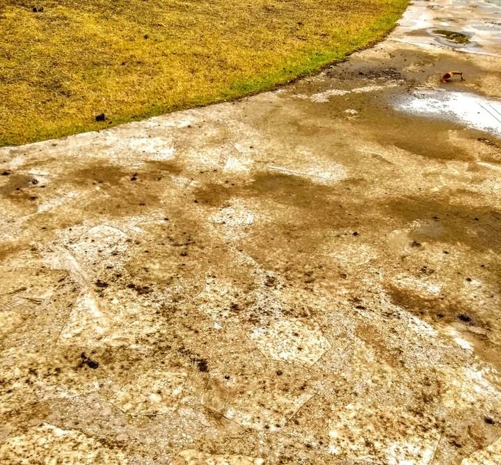 Path