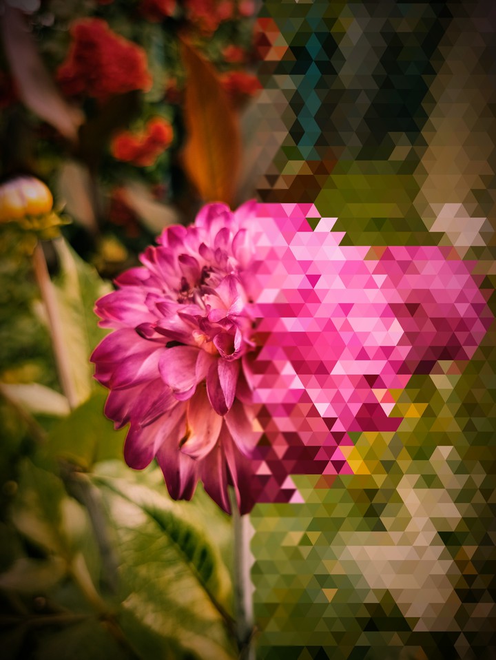 Mosaic