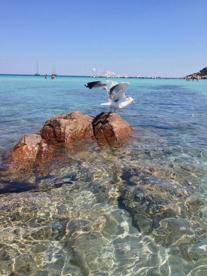 Sardegna