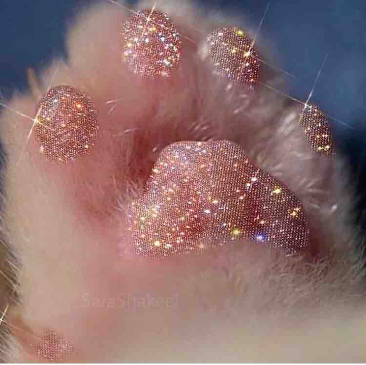 pretty pink paw
