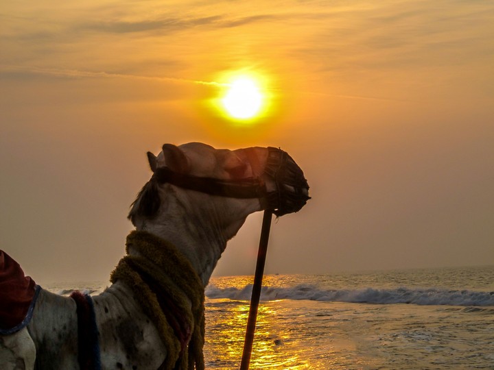 Sunset