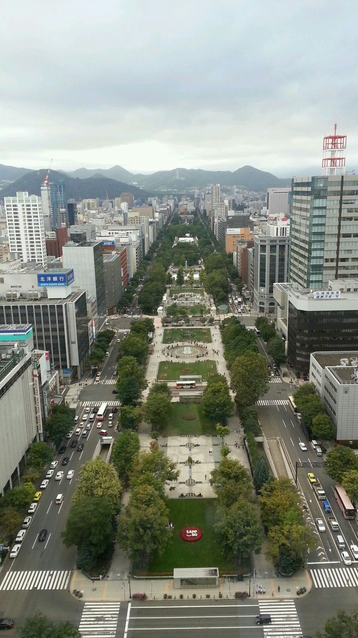 View from Sapporo TV tower