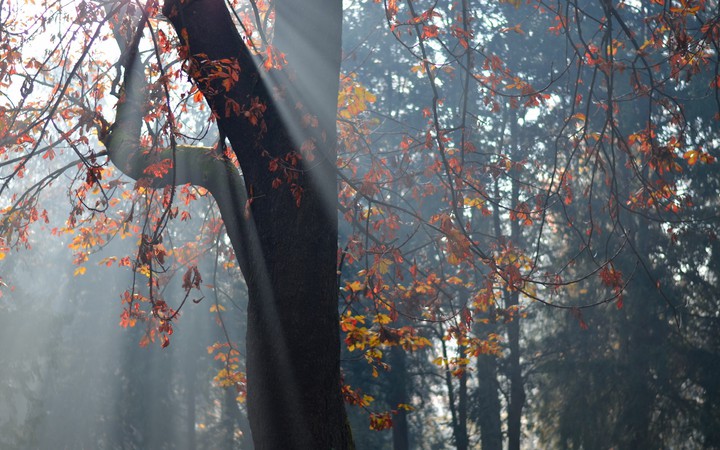 Autumn ❤️