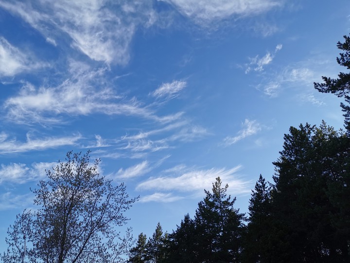 beautyful blue