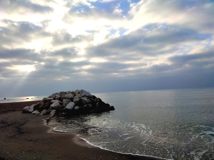 mare
