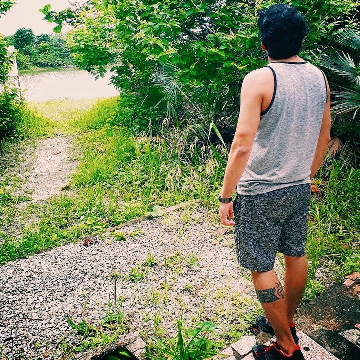 floresta