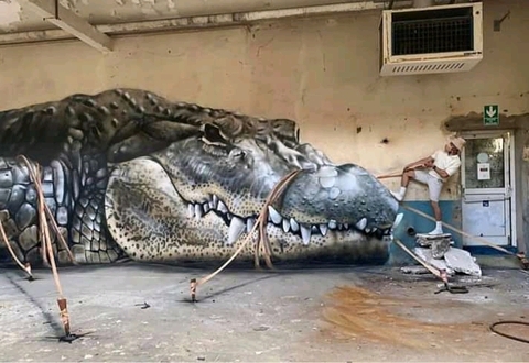 Crocodile