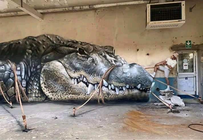 Crocodile